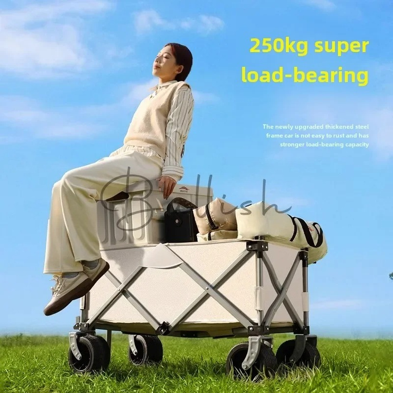 Camping trolley Outdoor foldin - огляд і ціна Outdoor Camping Trolley