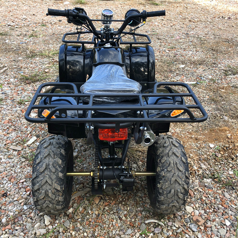 Electric 4 Seater 4WD 4-Stroke - огляд і ціна Camping Quad